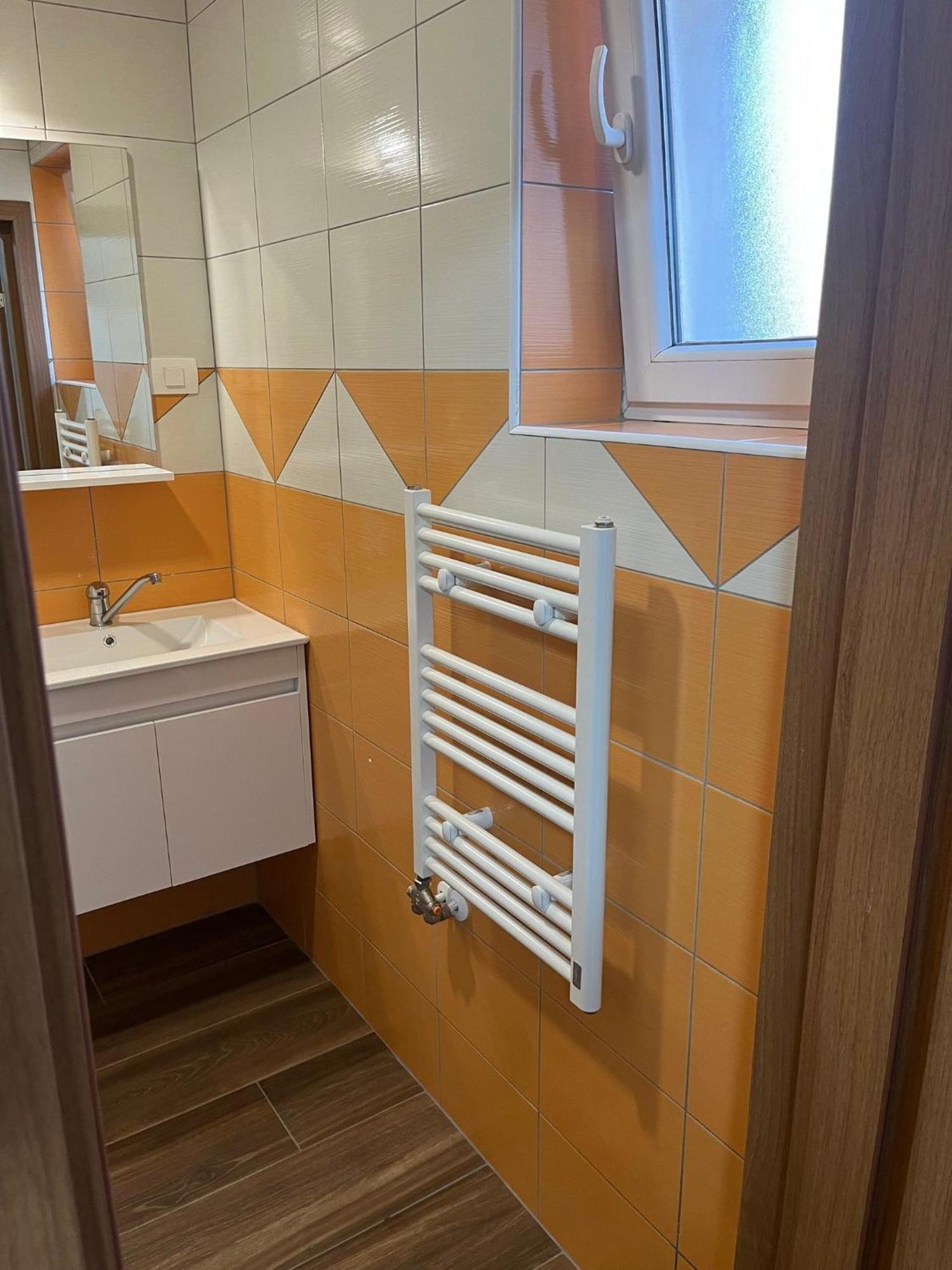 Apartments Malivojevic ゴレンスカ地方 部屋 写真