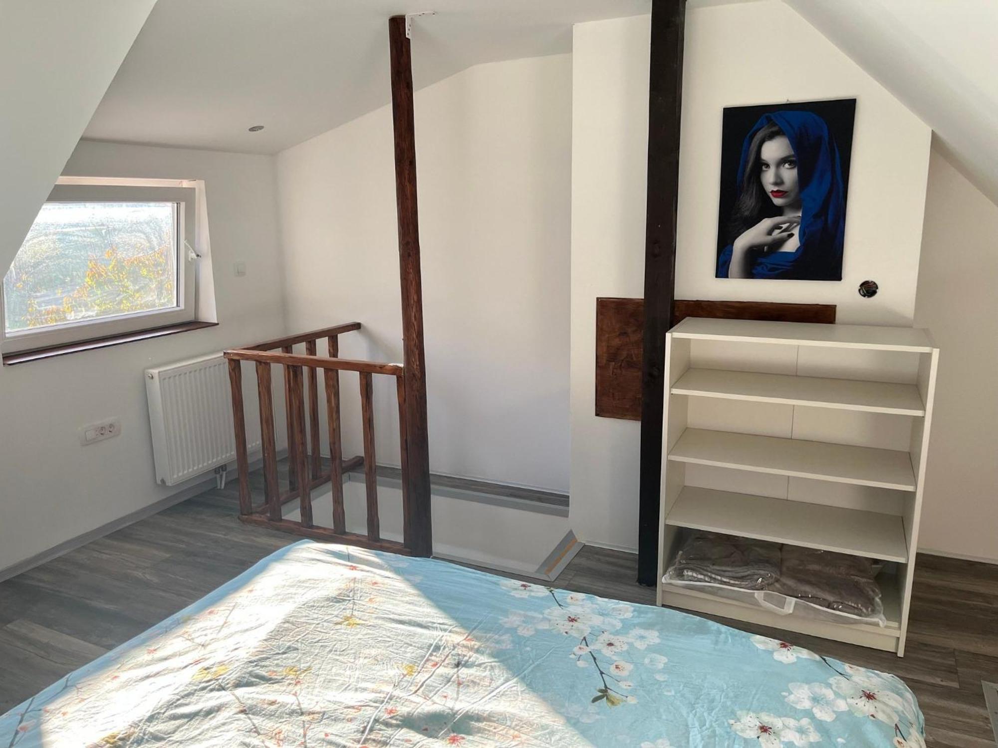 Apartments Malivojevic ゴレンスカ地方 部屋 写真