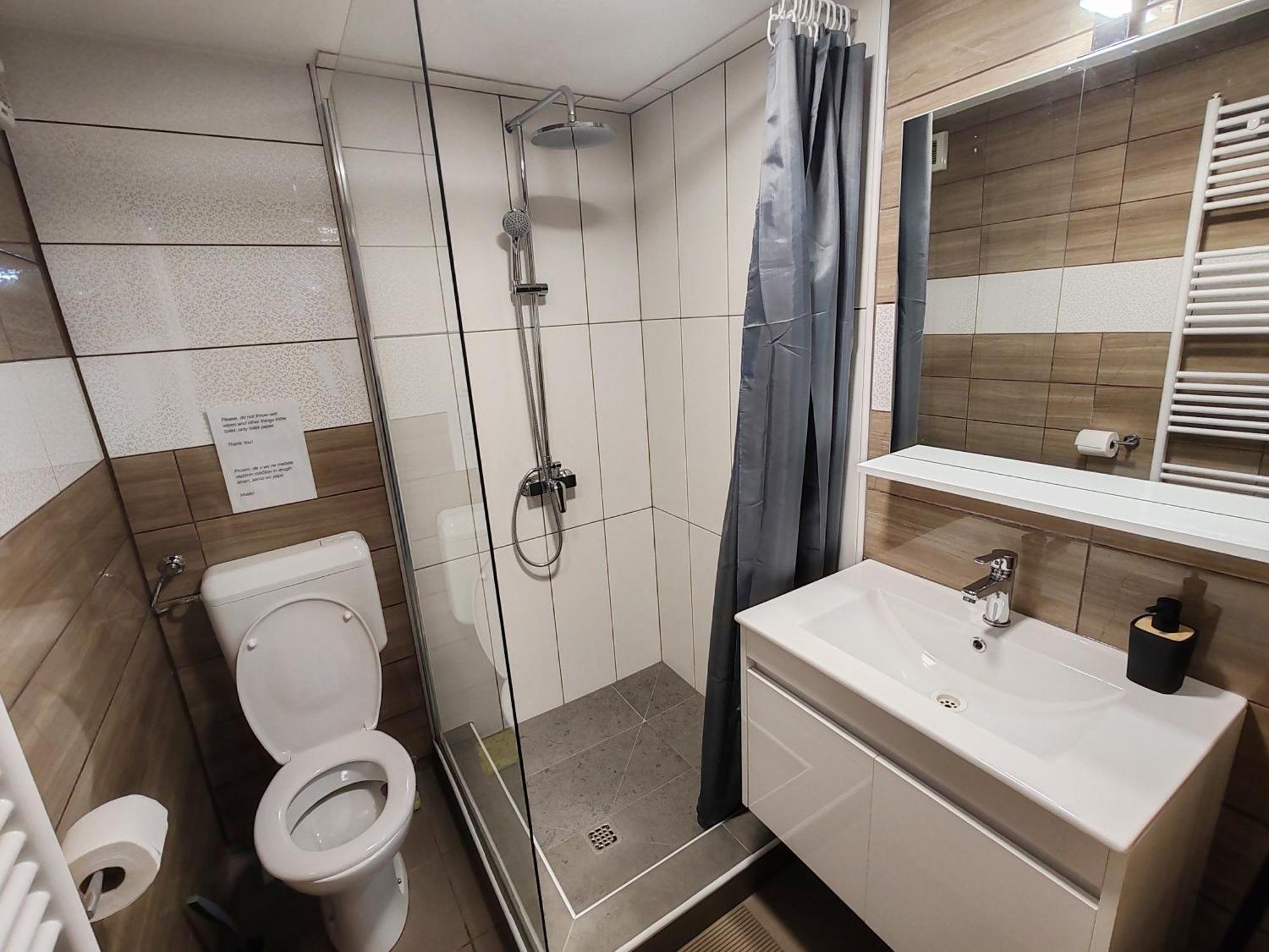 Apartments Malivojevic ゴレンスカ地方 部屋 写真